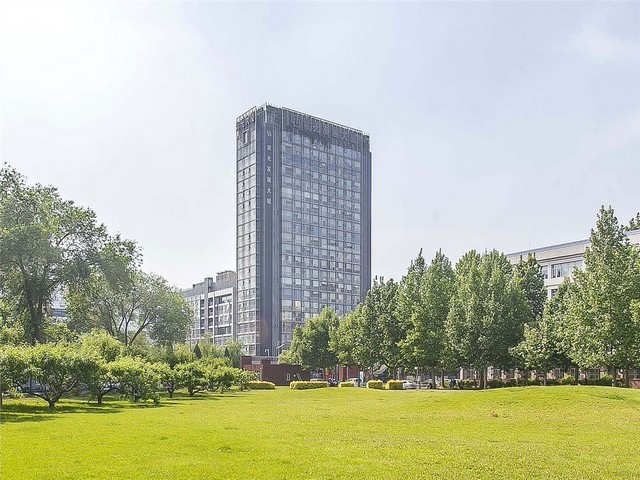 山东红枣水果瑕疵分级筛选机批量定制